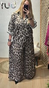 leopar takım
