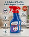 Bayer K-Othrine 2 Adet Kullanıma Hazır Sprey 500ml