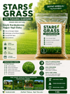 STAR GRASS 6'lı Karışım Çim Tohumu 