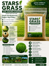 STAR GRASS 6'lı Karışım Çim Tohumu 500 Gr 