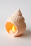Dekoratif Aydınlatma Mumluk Deniz Kabuğu Mumluk Plastiktir. Tea Light Mum Dahildir.