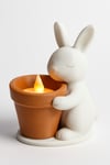 Dekoratif Aydınlatma Mumluk Tavşan Çiçek Mumluk Plastiktir. Tea Light Mum Dahildir.