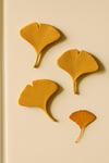 Ginkgo Yapragi Buzdolabı Magneti