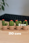 LOVE Kaktüs Seti – Tepsili - Saksılı - Plastik Kaktüs Figür Seti 💚🌵