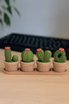 LOVE Kaktüs Seti – Tepsili - Saksılı - Plastik Kaktüs Figür Seti 💚🌵