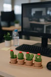 LOVE Kaktüs Seti – Tepsili - Saksılı - Plastik Kaktüs Figür Seti 💚🌵