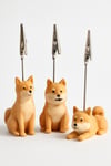 Shiba Inu Not Tutucu 3Lu