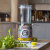 Ariete Positano Cam Blender 0583/0P