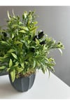 Yapay Mini Zeytin Ağacı-Zeytin Ağacı Dekoratif Yapay Bitki