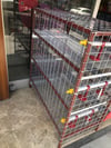 3 Katlı Bıldırcın Kafesi – Otomatik Suluklu Yumurtalık Sistemli 150-180 kapasiteli