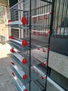 5 Katlı Bıldırcın Kafesi – Otomatik Suluklu Yumurtalık Sistemli