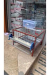 Tek Katlı Bıldırcın Kafesi Otomatik Suluklu Yemlikli Yumurta Eğimli 50x50 cm