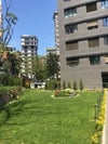 884-bars-cim-boyasi-b7ae-8.jpg