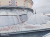 bars-kursun-boyasi-876d1f.jpg