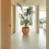flexon-mikro-beton-640c83.jpg