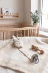 Bebek Emzik Askısı Çıtçıtlı Klipsli - Gümüş Taçlı Peluş Penguen Desenli (0-24 ay)