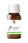 Lavanta Esansı 20