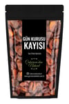 Malatya Gün Kurusu Kayısı Jumbo 100 Gr