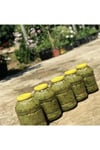 Salamura Asma Yaprağı 5 Kg (INCE VE DAMARSIZ) Yeni Mahsül