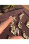 Özel seri çoklu görünüm earcuff