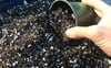 BLUBERRY YABAN MERSİNİ TOPRAĞI  30 LİTRE 