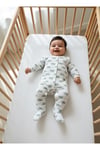 Baskılı Bebek Uzun Kollu Çıtçıtlı Zıbın