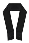 Tasseled Satin Scarf