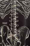 Gotik Anatomik İskelet Grunge Y2K T-Shirt