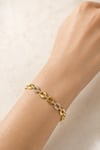 Çelik Taş Detaylı Kahve Çekirdeği Halka Gold Kadın Bileklik