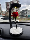 Işıklı Gül