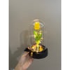 Laleli Fanus