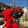 Peluş Kokina Buketi