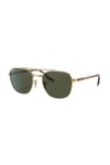 3688 001/31 55 Unisex/erkek Gold Yuvarlak Çerçeve Güneş Gözlüğü