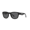 Armani Exchange 0AX4115SU 807887 54 Erkek Güneş Gözlüğü