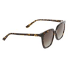 Hawk 2145 COL02 49-20 Unisex Güneş Gözlüğü