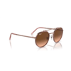 Ray-Ban 0RB3765 9069/A5 53-22 Unisex Güneş Gözlüğü