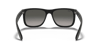 Ray-Ban 0RB4165 601/8G 54-16 Unisex Güneş Gözlüğü