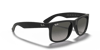 Ray-Ban 0RB4165 601/8G 54-16 Unisex Güneş Gözlüğü