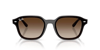 Ray-Ban 0RB4458D 714/13 65 Unisex Güneş Gözlüğü