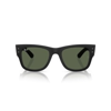 Ray-Ban 0RB4840S 601S71 52 Unisex Güneş Gözlüğü