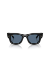 Ray-Ban 0RB4940 601/80 50-23 Unisex Güneş Gözlüğü