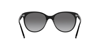 Vogue 5453S W44/11 53-18 Kadın Güneş Gözlüğü