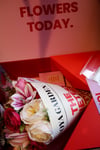 Fall İn Love