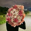 Imperial Bloom XXL