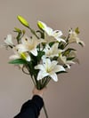 Lilyum Buketi