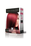 Color Saç Boyası 4/6 Kestane Kızıl