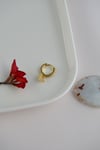 8 mm Kelebek Charm Halka Piercing – Gold & Gümüş | Helix, Kıkırdak, Lob Uyumlu