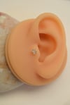 Kalp Tektaş Cerrahi Çelik Piercing Tragus Helix Kıkırdak Lob Conch Dudak