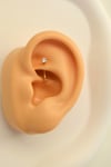 Zirkon Taşlı Çelik Rook Piercing Daith Helix Kaş Göbek Lob Uyumlu Piercing