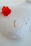Zirkon Taşlı İki Yaprak Rook Piercing Çelik Bar 1 mm